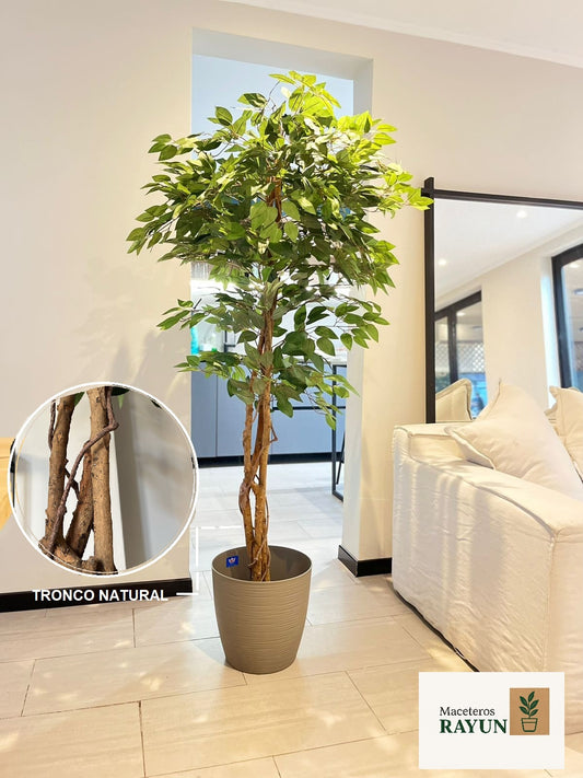 Ficus tronco natural y follaje artificial