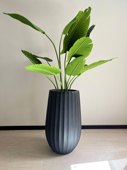 Macetero Black Ran
